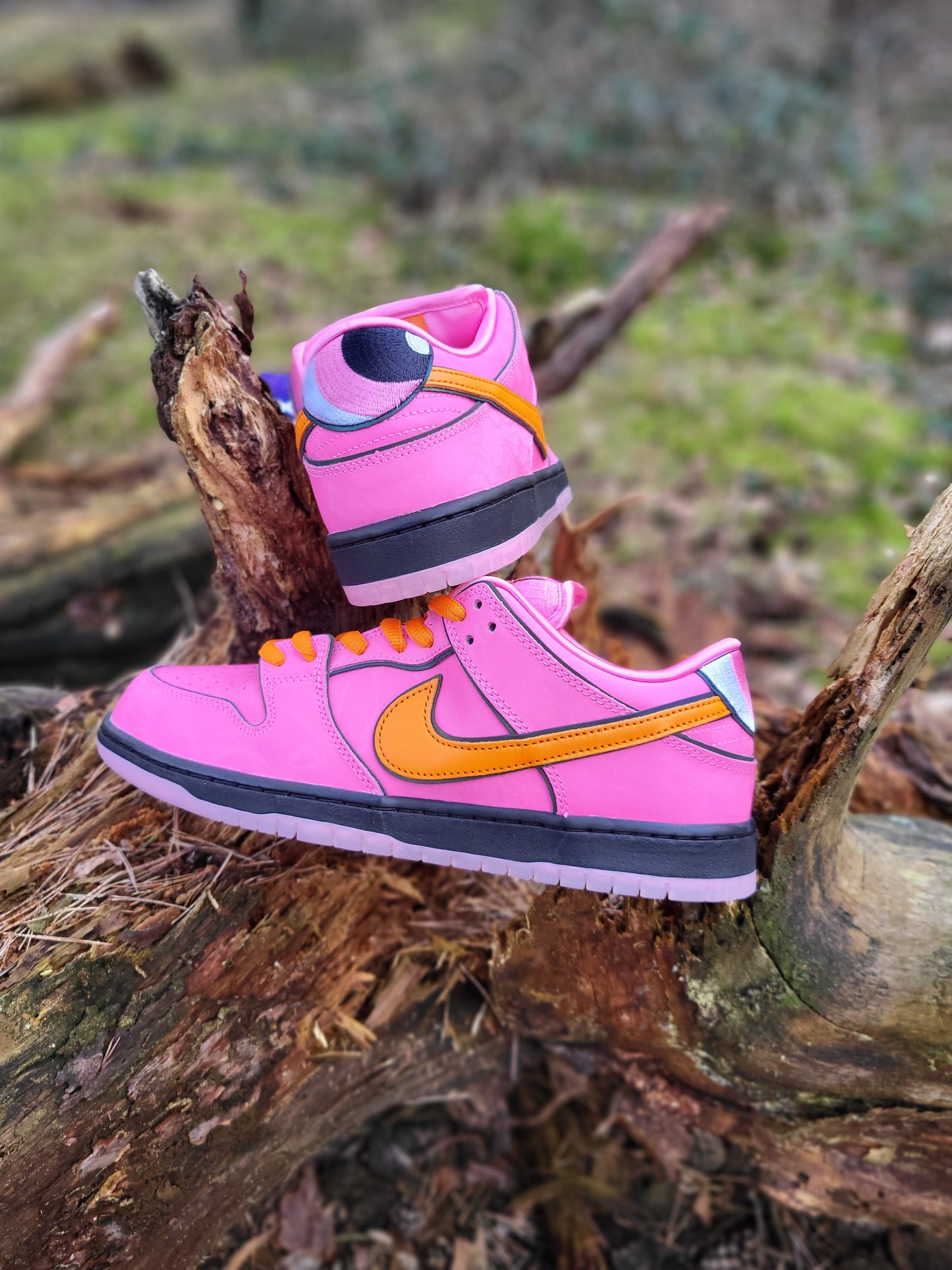 Nike SB Dunk Low x The Powerpuff Girls Blossom