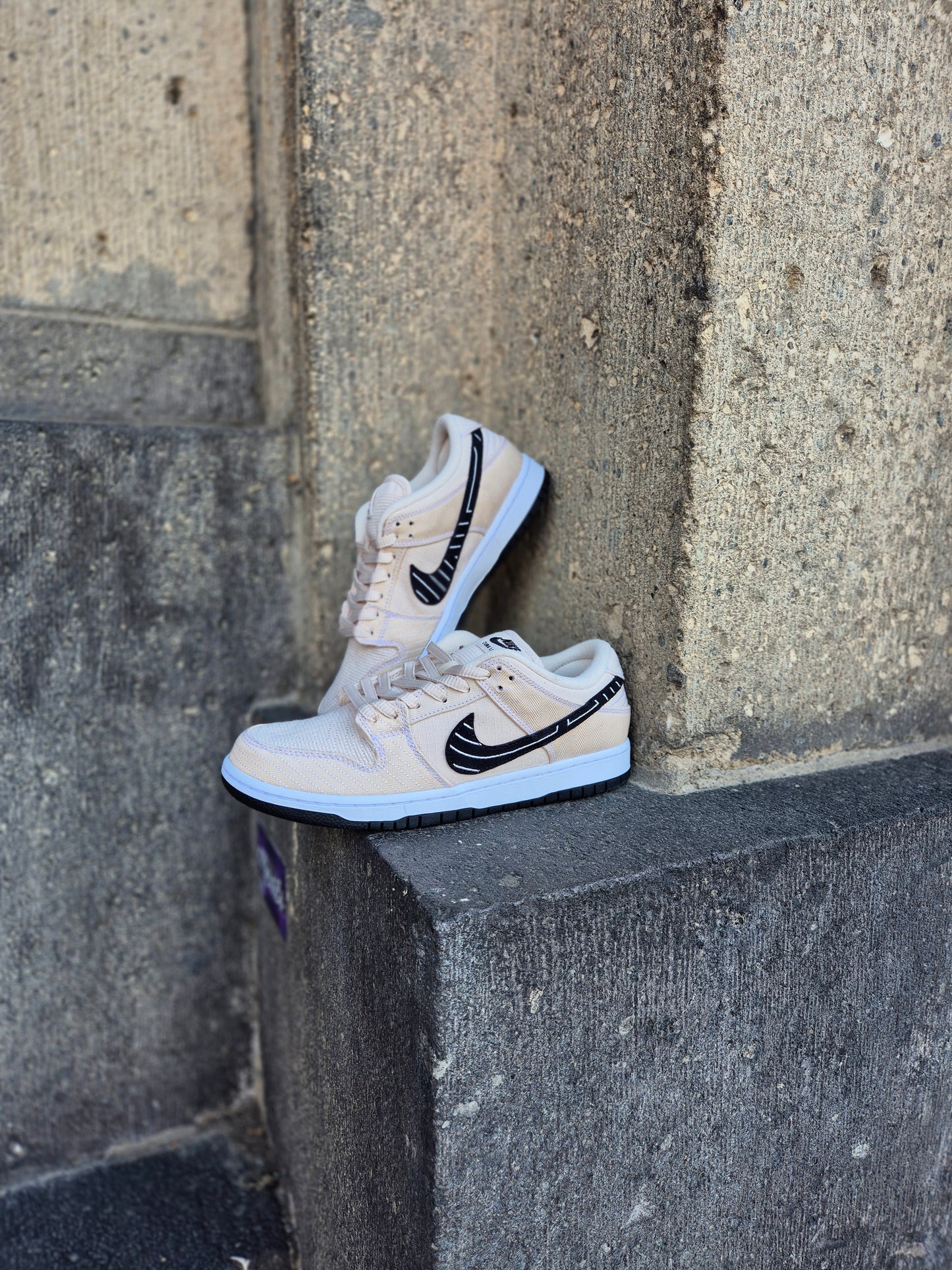 Nike SB Dunk Low Albino Preto