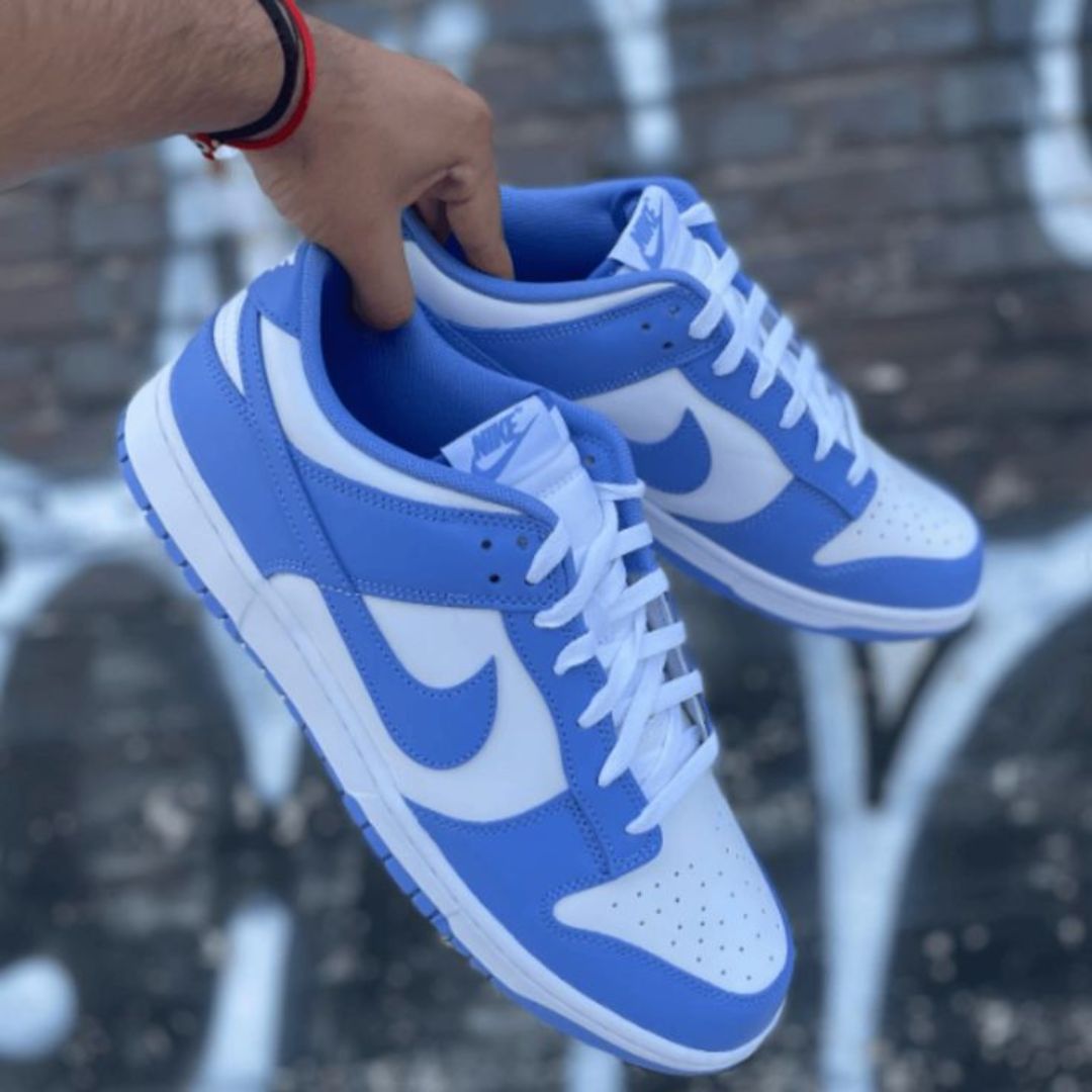 Nike Dunk Low Polar Blue