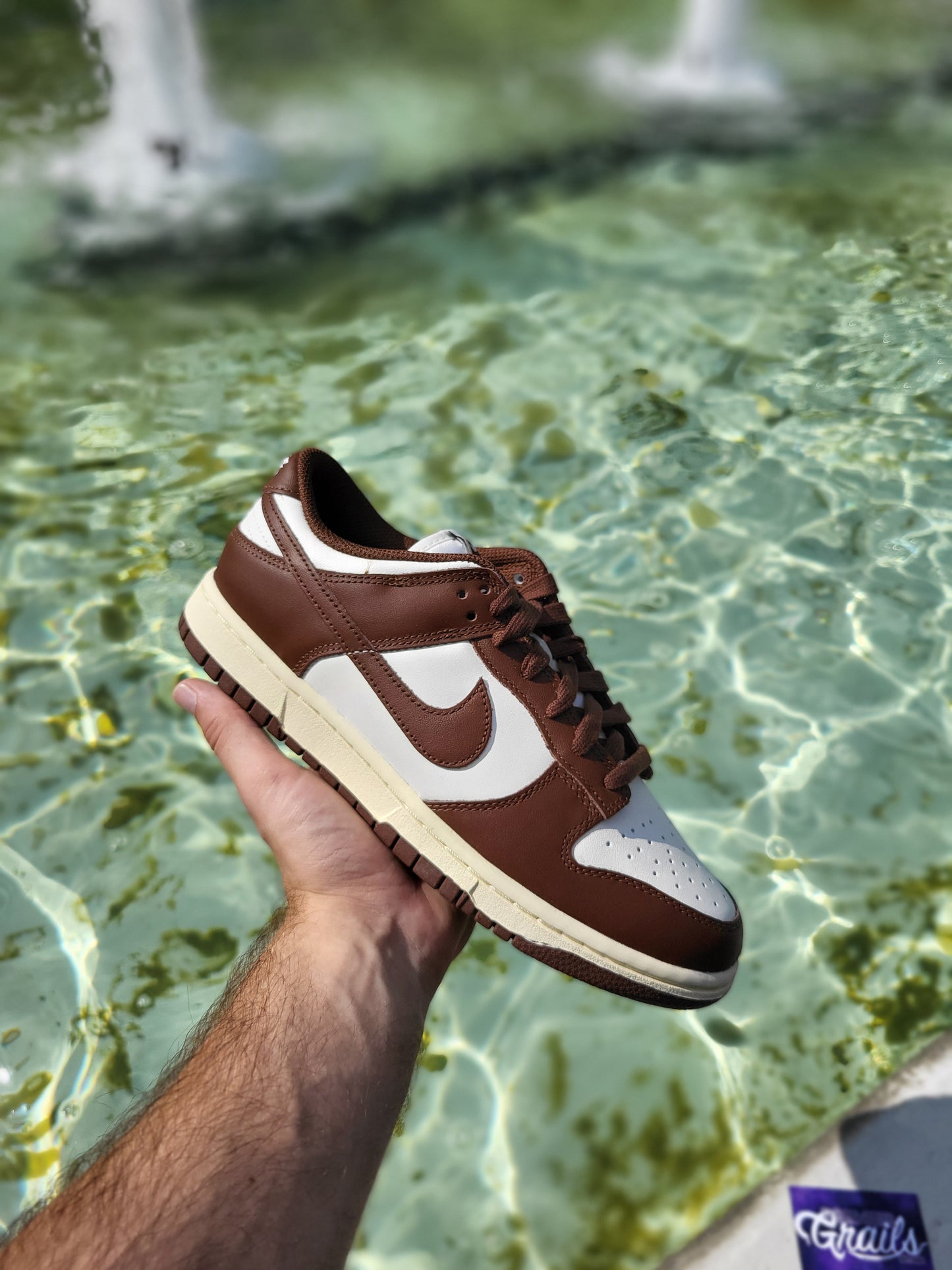 Nike Dunk Low Cacao Wow (W)