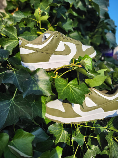 Nike Dunk Low Medium Olive (W)