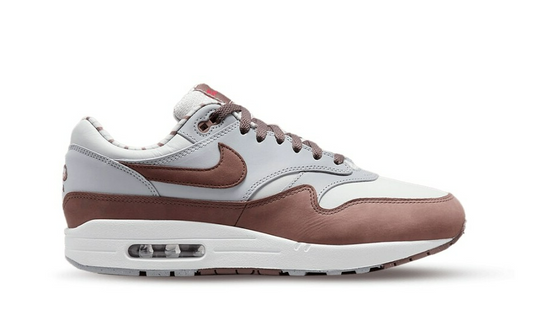 Nike Air Max 1 Shima Shima (2023) - Premiergrails