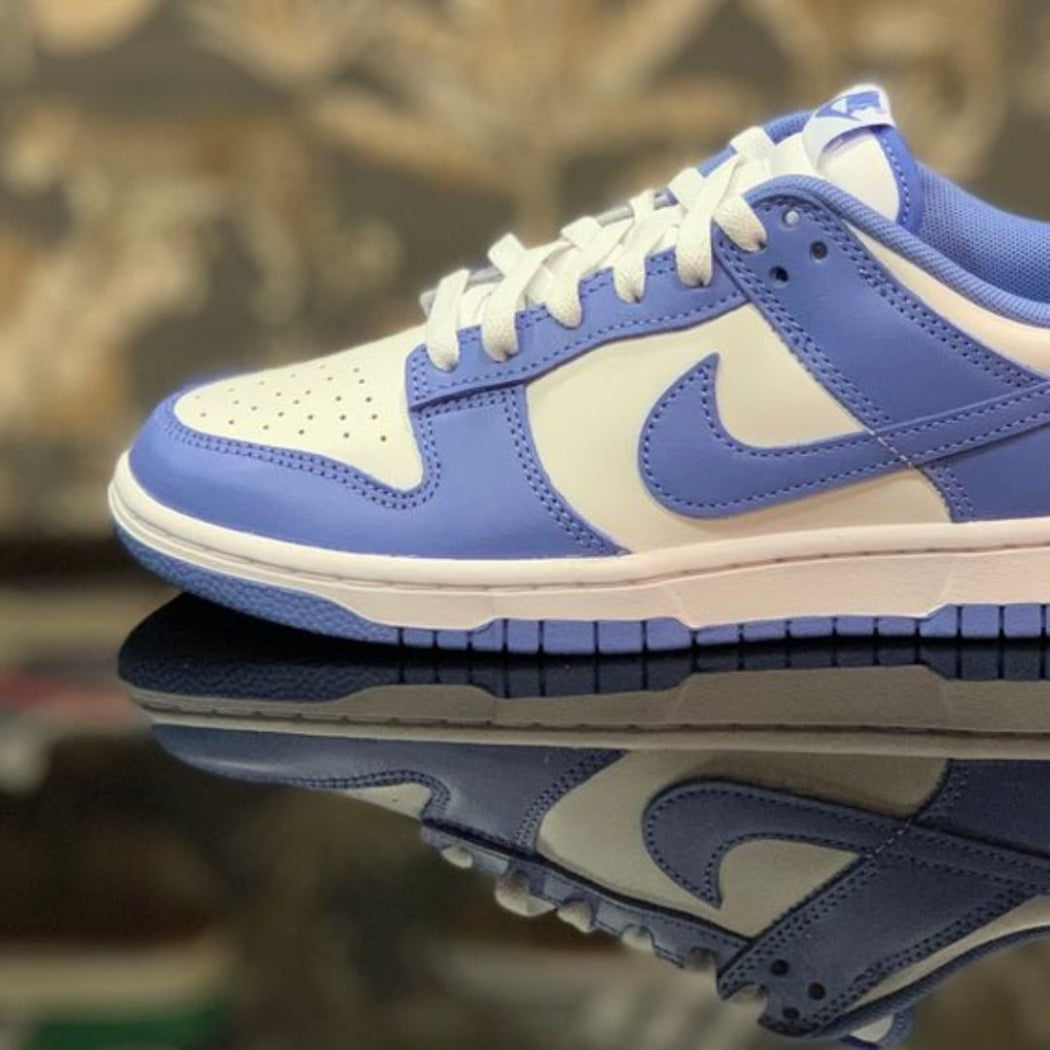 Nike Dunk Low Polar Blue - Premiergrails