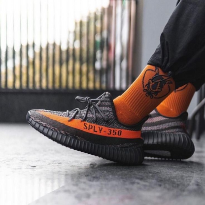 Yeezy Boost 350 V2 Carbon Beluga.